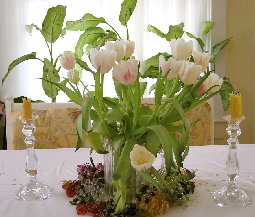 tulips